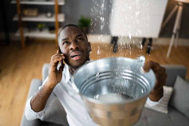 Best Residential Water Damage Restoration in USA